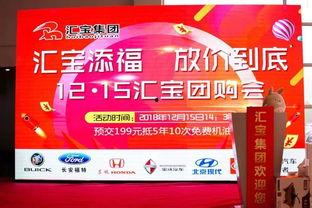 福宝最新爆料,最新爆料背后的惊人真相